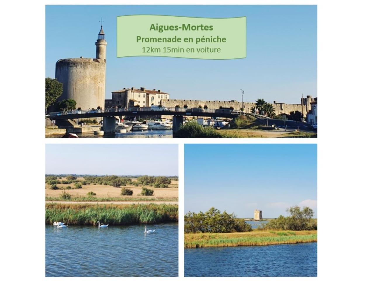T2 Traversant Familial Cap Sud Parking Plages - Rossiconciergerie - Linge En Option La Grande Motte Extérieur photo